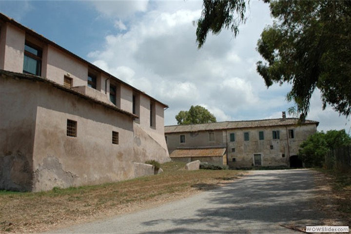 testadilepre3
