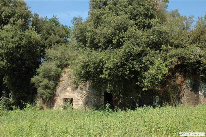 tragliatella2